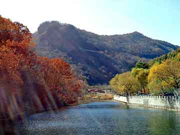 管家婆黑白马报图库，仙骨风流